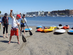 Pro SUP Shop rents stand-up paddleboards and kayaks at Marina "Mother's" Beach.